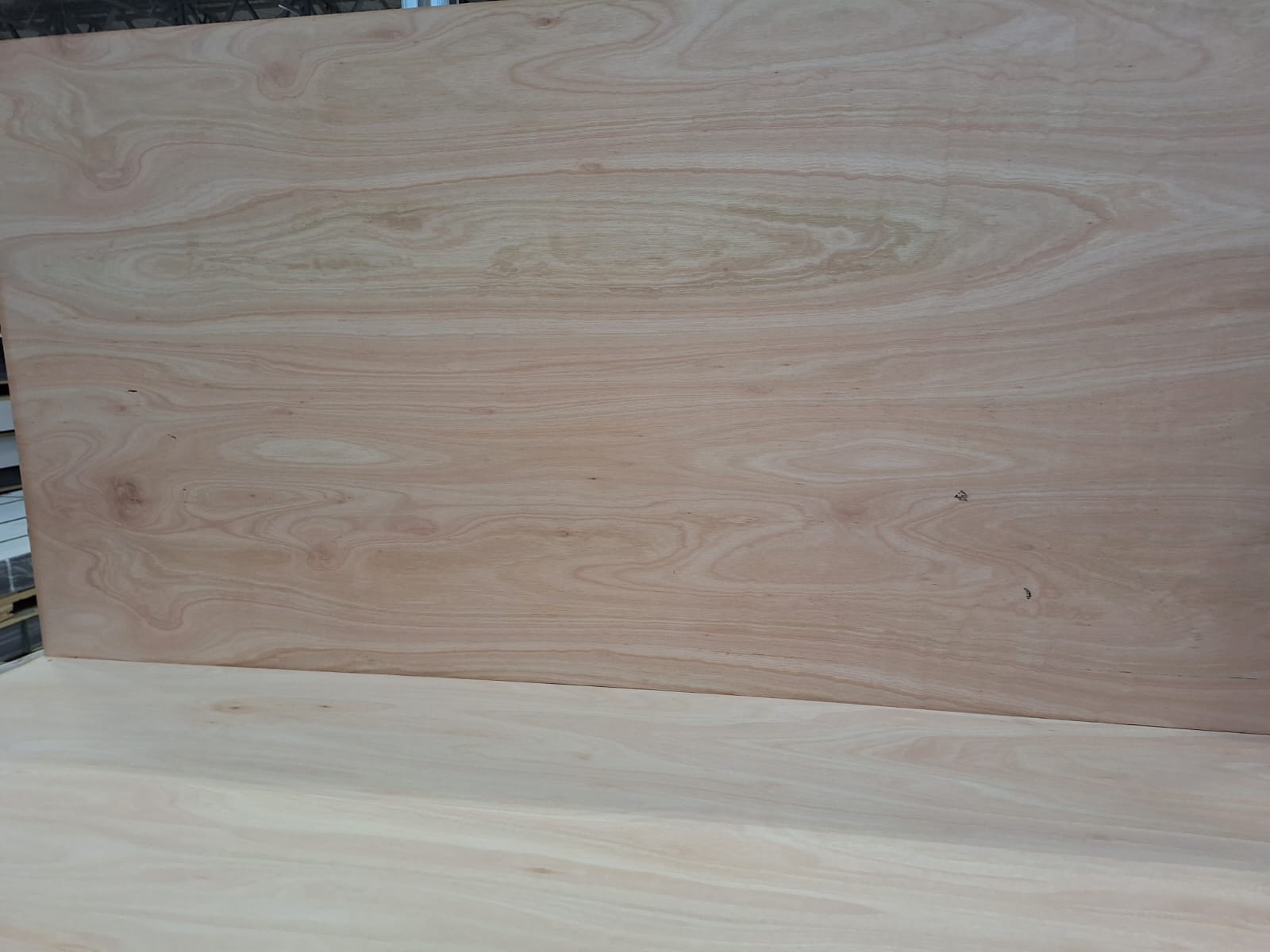 Full Eucalyptus plywood — FSC certified, furniture and packaging